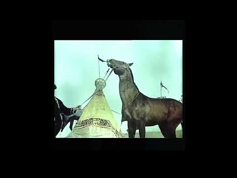 Видео: Ілияс жансүгіров "Құлагер" поэмасы буктрейлер