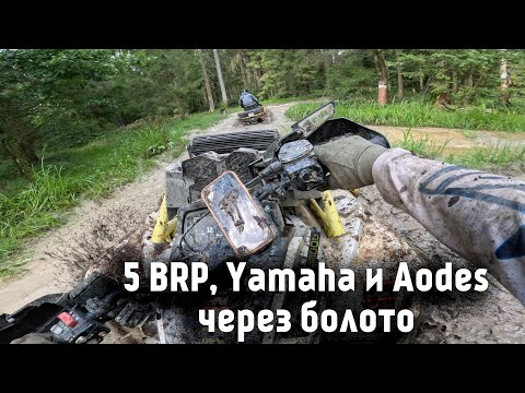 Видео: На долгое озеро через Болото - Часть 1