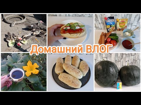 Видео: Домашний ВЛОГ. Где я так долго пропадала?! Мой день. Вкусные Хот-Доги 😋