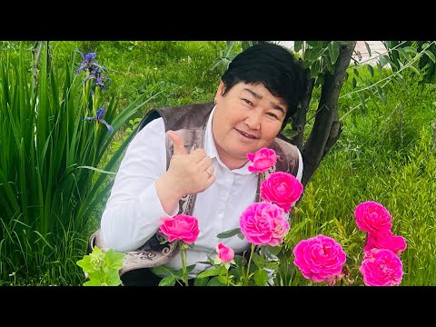 Видео: “Ұмыт бәрін” әні,тыңдап бағасын беріңіздер,я