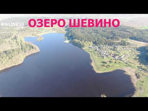 Видео: ОЗЕРА БЕЛАРУСИ. ОЗЕРО ШЕВИНО. МАЛЫЕ ЛЕТЦЫ. ВИТЕБСК.