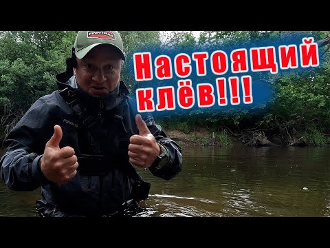 Видео: РЕКА ЩЕДРО РАЗДАЁТ!!! В этом месте их собралось не реально много! ГОЛАВЛЬ СНОВА ЖРЁТ!!!