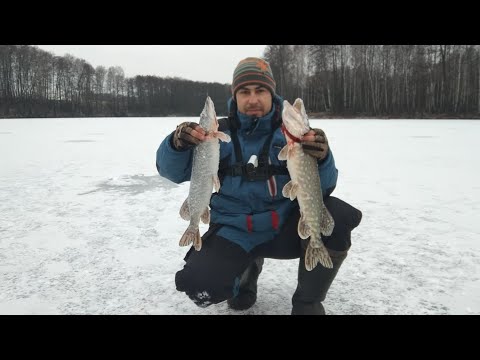 Видео: Рыбалка на Жерлицы. ЛЁД  Январь