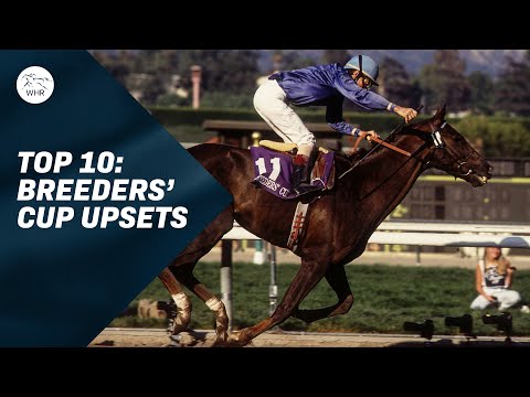 Видео: Орден Австралии, Марке Лотарингия, Испания — одни из самых больших неожиданностей в Кубке заводчиков