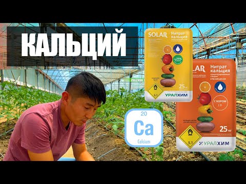Видео: #кальций  ДЛЯ РАСТЕНИЙ! #зачем  ОН НУЖЕН?