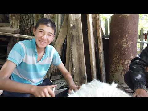 Видео: ЗАБРОШЕННЫЙ ГОРОД НА ЮГЕ КАЗАХСТАНА / НАНЛЯМА В БАЙЖАНСАЕ