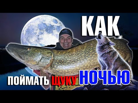 Видео: Как поймать щуку ночью