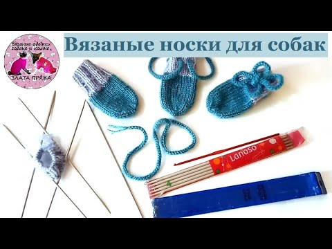 Видео: Вязаные носки для собаки