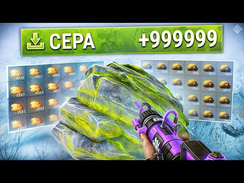Видео: Мои Рейты Х1000! Раст но это сервер с Х1000 рейтами в Rust/Раст