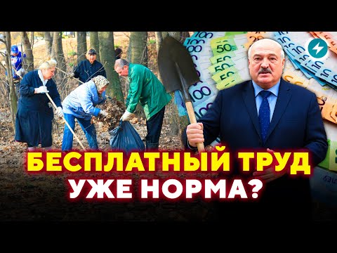 Видео: Новые штрафы! Кто под угрозой и как чиновники зарабатывают на субботниках? / Народ спросит