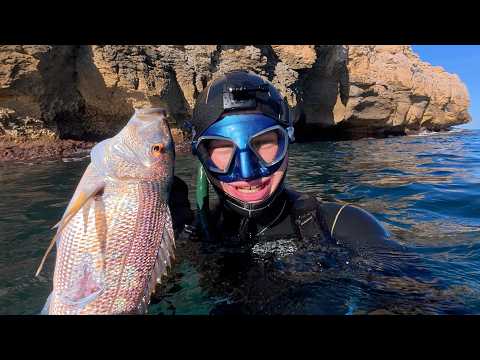 Видео: Самая сложная рыба Средиземного моря. Мечта сбылась!
