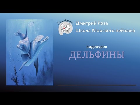 Видео: Открытый вебинар"ДЕЛЬФИНЫ"