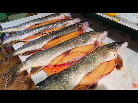 Видео: РЫБАЛКА НА ИКРЯНУЮ ЩУКУ. Жерлицы и спиннинг. Вот это клёв. Закрыл сезон зимней рыбалки.