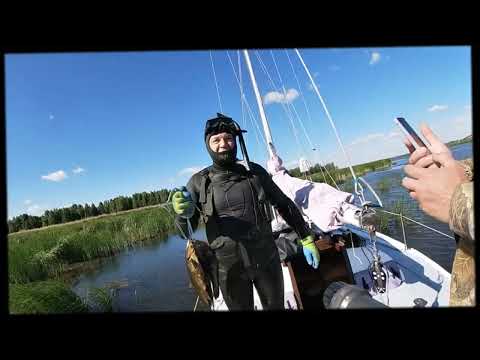 Видео: Подводная охота открытие сезона 2024 фильм N1 или « Рыбный Ресторан»