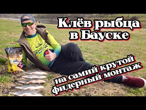 Видео: Клёв рыбца в Бауске, на самий крутой фидерный монтаж.