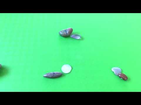 Видео: Ежемесячный прогноз драгоценных камней для Скорпиона на ноябрь 2025 г. от Cognitive Universe