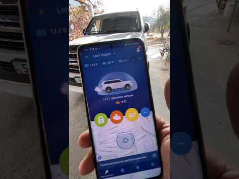 Видео: #дусяшым 