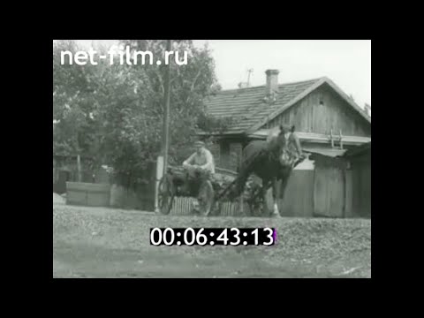 Видео: 1987г. Новосёловский район. Исполком. выборы. Красноярский край