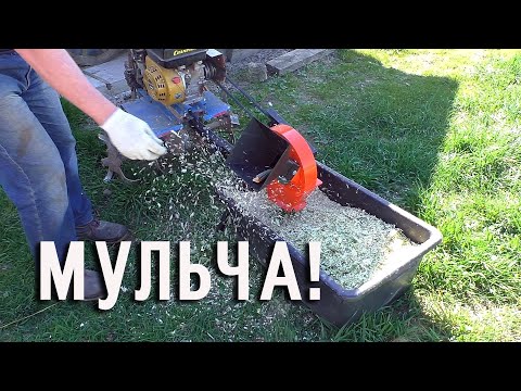 Видео: Мульчируем огород, гуляем индюков