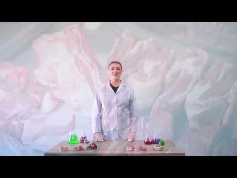 Видео: Как определить качество мяса