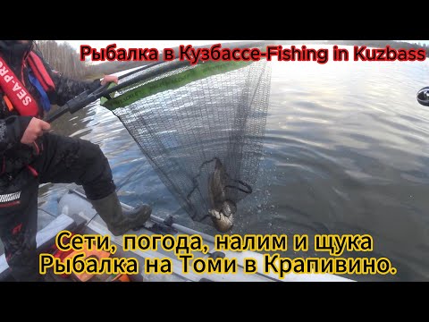 Видео: Рыбалка на реке Крапивино. Плохая погода=хороший клёв.