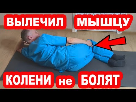Видео: Вылечи эту мышцу и КОЛЕНИ не будут болеть НИКОГДА! Забудь о боли в коленных суставах!