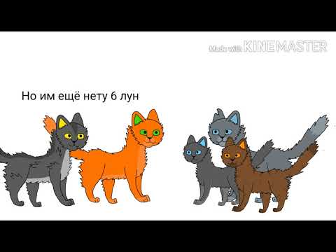 Видео: Огонь и Лёд в двух словах (Коты-Воители)