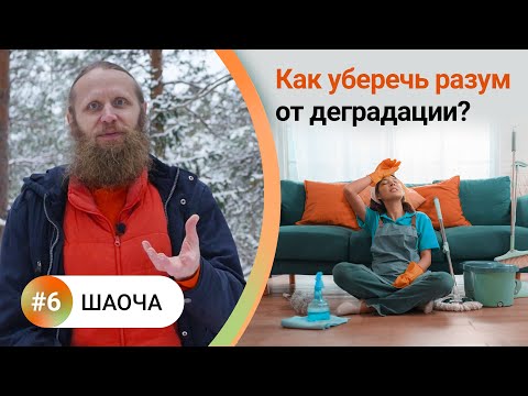 Видео: Как жить в балансе? — 6. ШАОЧА. 4 вида чистоты для мощной медитации. Как уберечь разум от деградации
