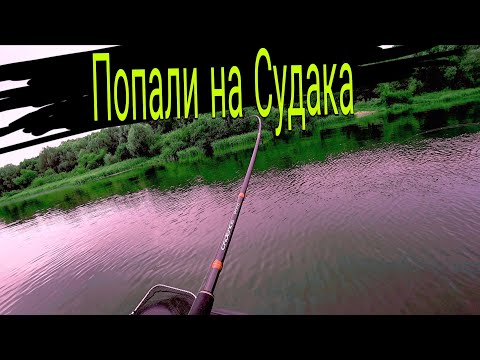 Видео: Попали на раздачу СУДАКА, рыбалка на Оке эта резина работает. 