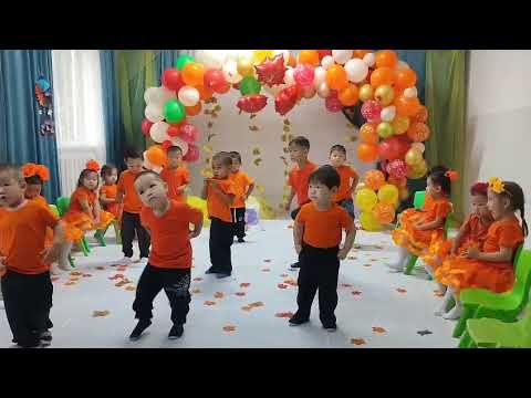 Видео: 11 октября 2025 г.