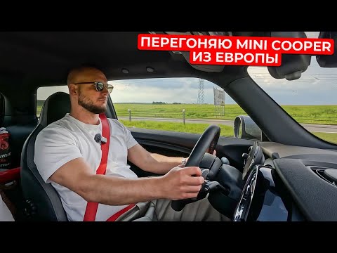 Видео: МАССОВЫЕ АВАРИИ С ЛОСЯМИ. MINI COOPER JCW GP. БРЕСТ. ГОТОВЛЮ ШАКШУКУ ПО-БРЕЙКТЕСТОВСКИ