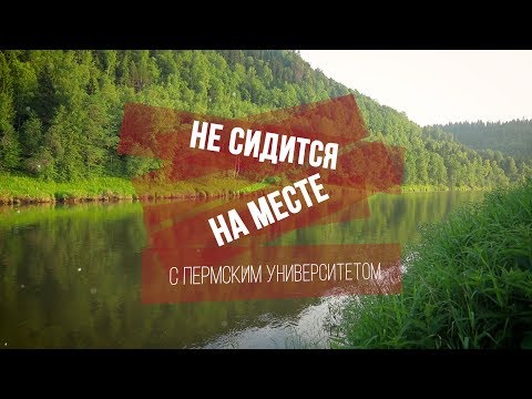 Видео: Какие ещё растения можно есть в лесу? Не сидится на месте Часть 2