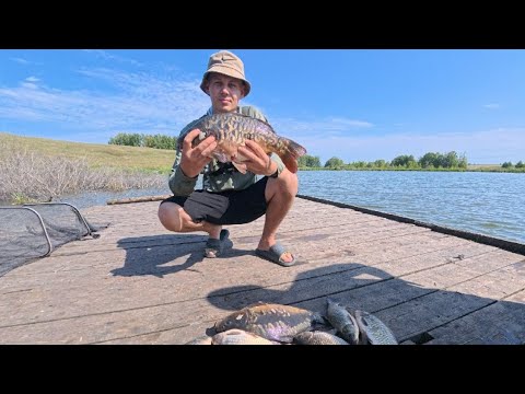 Видео: Рыбалка на озере Металлург в городе Новокузнецк🇷🇺 2025