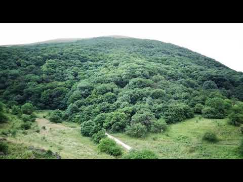 Видео: ЮЦА 07/2022