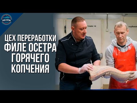 Видео: Цех переработки: Филе осетра горячего копчения