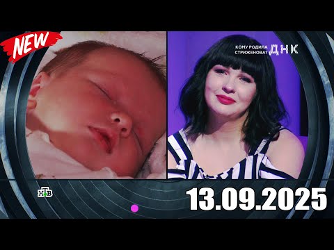 Видео: ДНК . Выпуск от 13.09.2025 - «Кому родила Стриженова » - Передачи НТВ - ДНК 2025