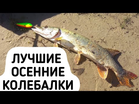 Видео: ЛУЧШИЕ на ЩУКУ. Осенние колеблющиеся блёсны
