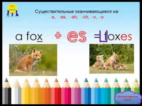 Видео: Английская грамматика для детей. Множественное число