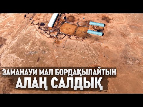 Видео: БІЗДІҢ 1000 ЖЫЛҚЫ СИЯТЫН БОРДАҚЫЛАУ АЛАҢЫМЫЗ! БҰНДАЙ МАЛ БОРДАҚЫЛАУҒА АРНАЛҒАН АЛАҢ ТЕК БІЗДЕ ҒАНА!