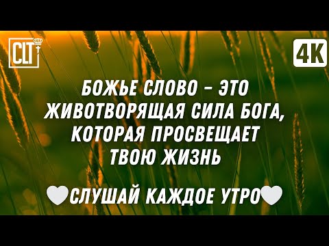 Видео: Божье Слово наполняет тебя живительной силой | Библия утром | Relaxing