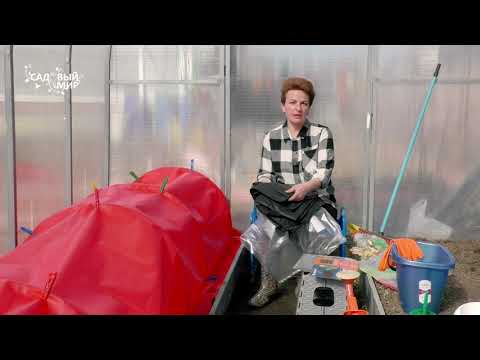 Видео: Срок первых посадок в теплицу. Что посадить в теплицу в первую очередь