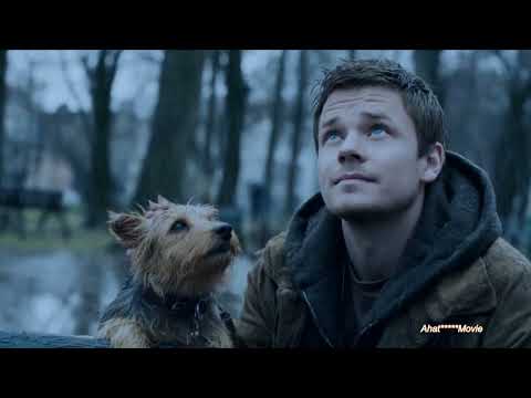 Видео: Грустная песня про пса, осень и разлуку