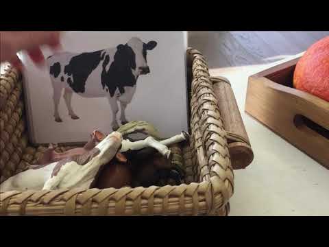 Видео: Материалы для развития речи для детей от 1 до 3 лет