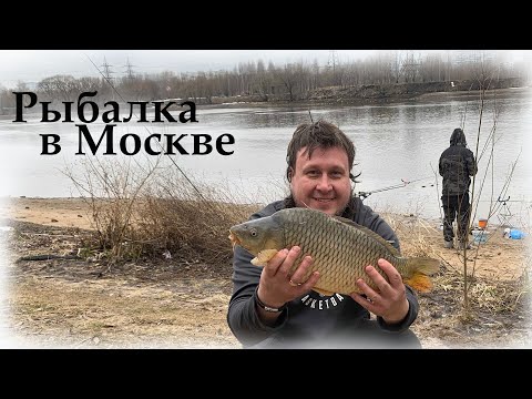 Видео: Карп в Москва реке! Рыбалка в Капотне, Москва  и не только Карп ))