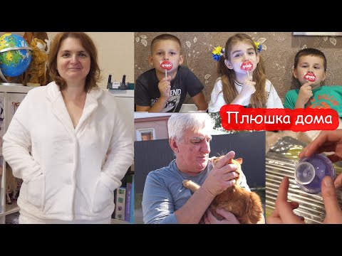 Видео: VLOG Собираем чемоданы. Настя вернула Плюшку