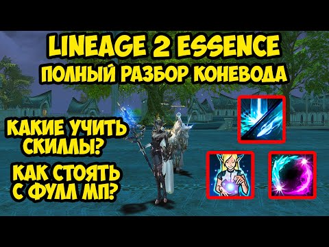 Видео: ПОЛНЫЙ РАЗБОР коневода в Lineage 2 Essence.