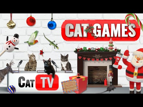 Видео: 🎄 Рождественская страна чудес для кошек: 4 часа кошачьих игр  🎁
