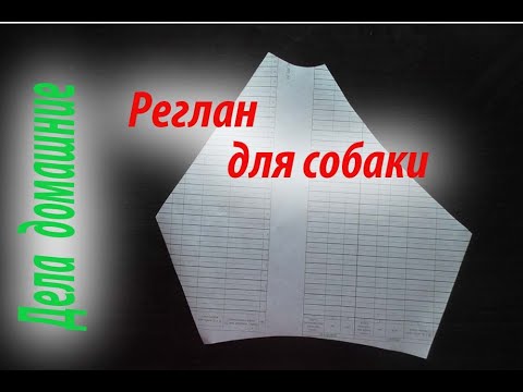 Видео: Выкройка комбинезона с рукавом реглан для собаки на скорую руку.