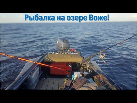 Видео: Спиннинг в дугу | Ловим судака | Рыбалка на озере Воже