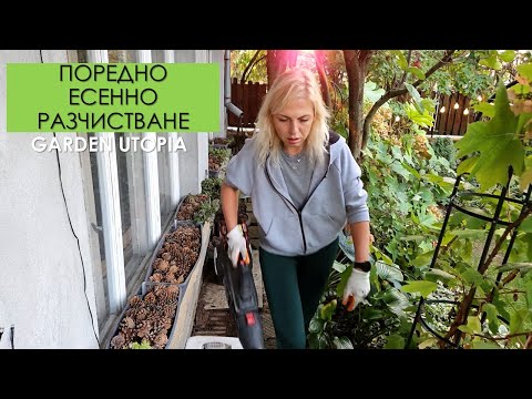 Видео: КОСЕНЕ и РАЗЧИСТВАНЕ: #Ден 46 от 90 ДНИ НА СЕЛО